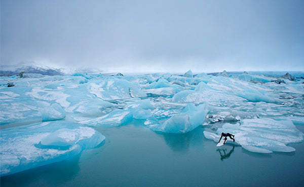 Ted's Excellent Adventure