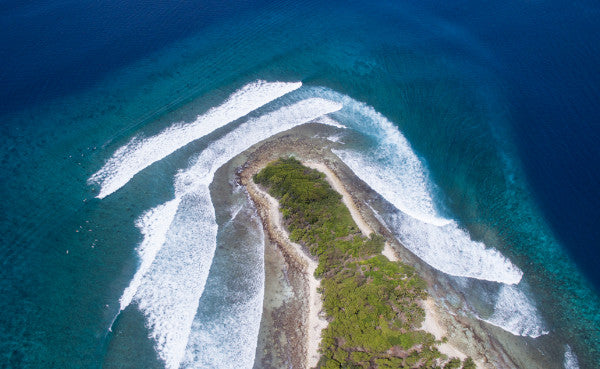 The Best Moments from the Four Seasons Maldives Surfing Champions Trophy