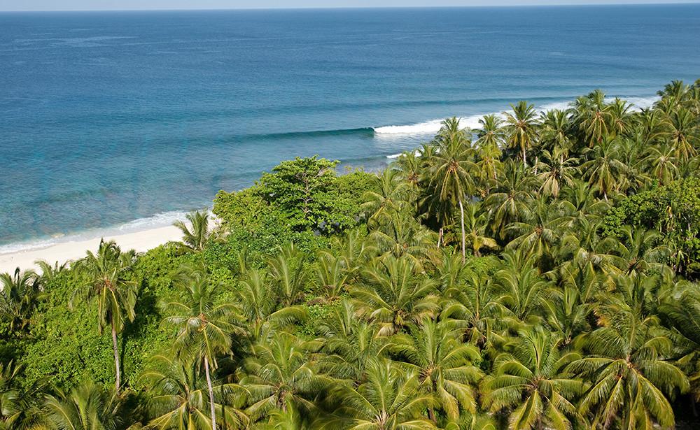 Beach with palm trees, Mentawais Indonesia