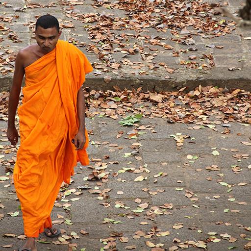 Devotional Peace. Anantara Peace Haven, Sri Lanka