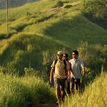 Tracking the Views, COMO Canggu, Echo beach Bali, Luxury surfing 