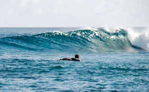 Tropicsurf's First Season at Alphonse Island