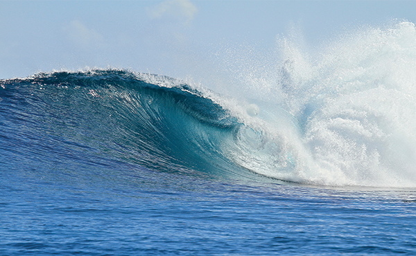 Your 2026 Surf Year, Curated by Tropicsurf