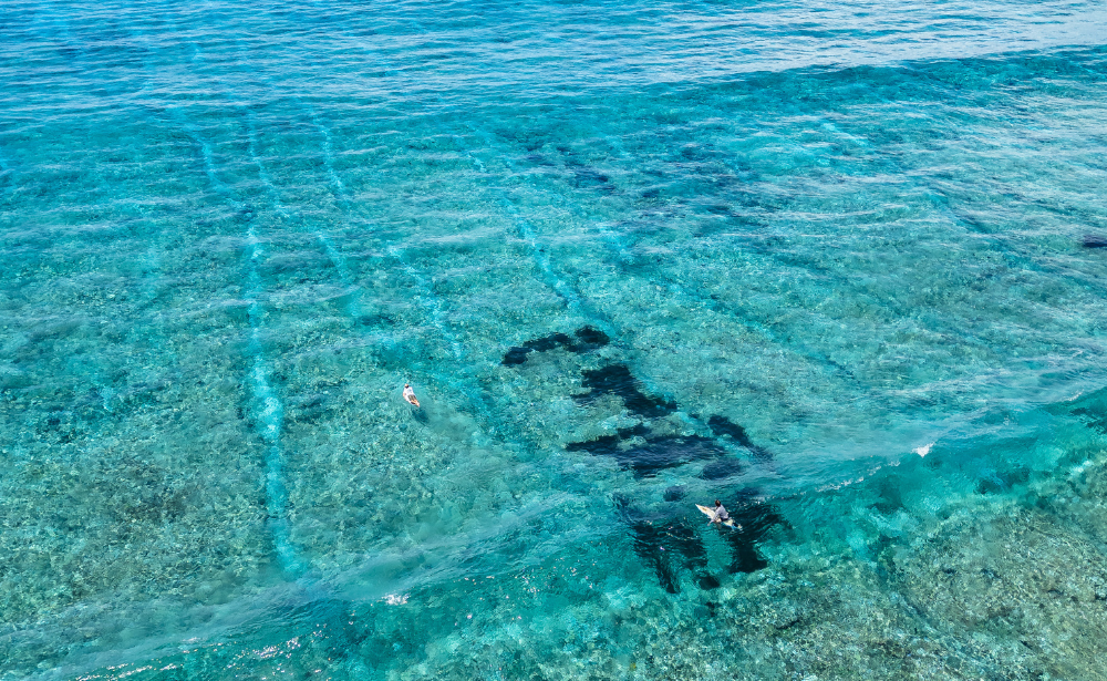 seychelles surfing