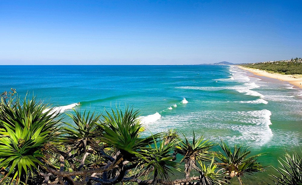 Beaches, Noosa Heads Australia