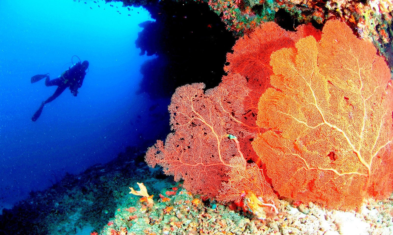Deep sea. Anantara Veli, Maldives, Luxury Surfing