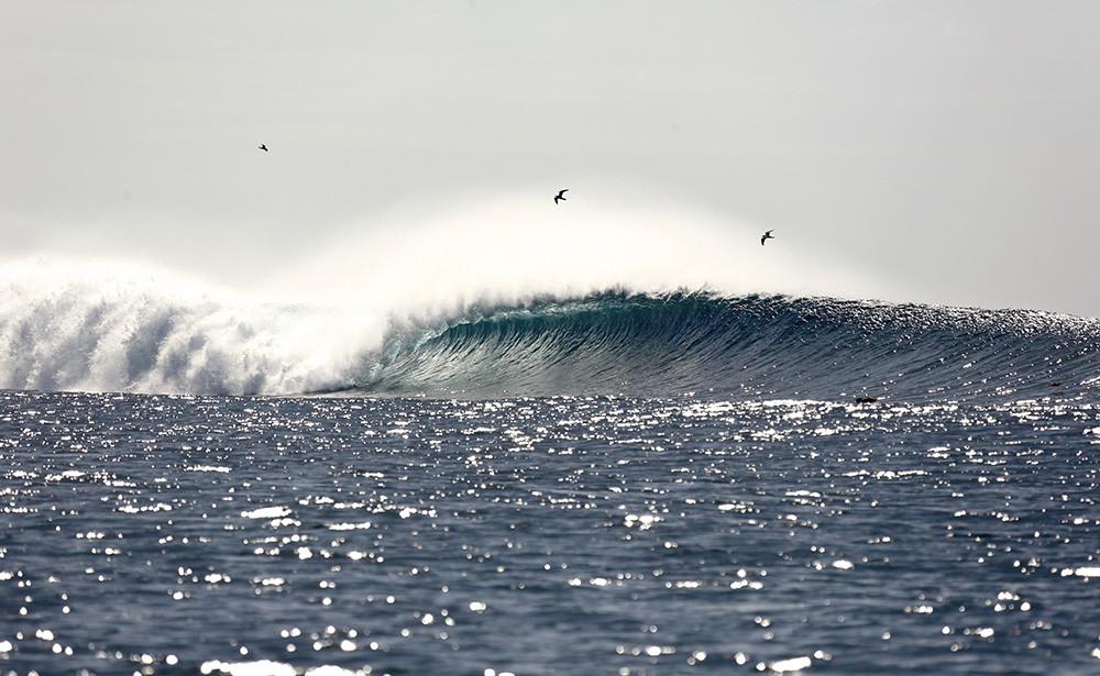 High Tide. Anantara Veli, Maldives, Luxury Surfing