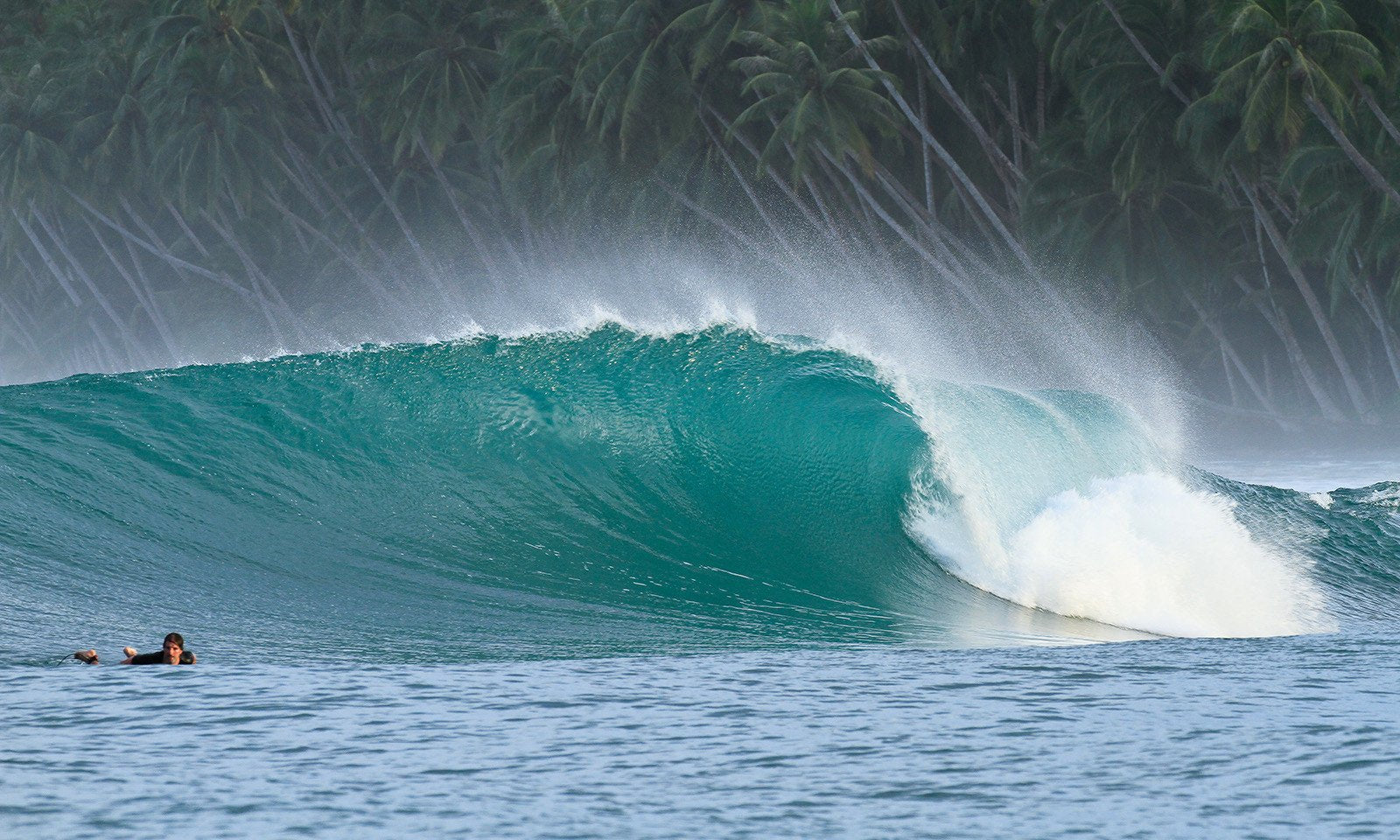 Mentawai Islands Surf Charters