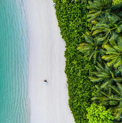 seychelles surfing