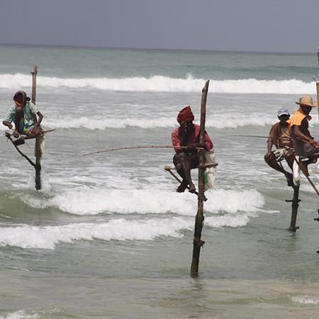 Water Connecting. Anantara Peace Haven, Sri Lanka