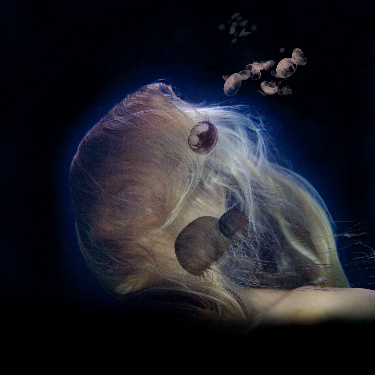 Ted Grambeau & Brad Smith: "Medusa"